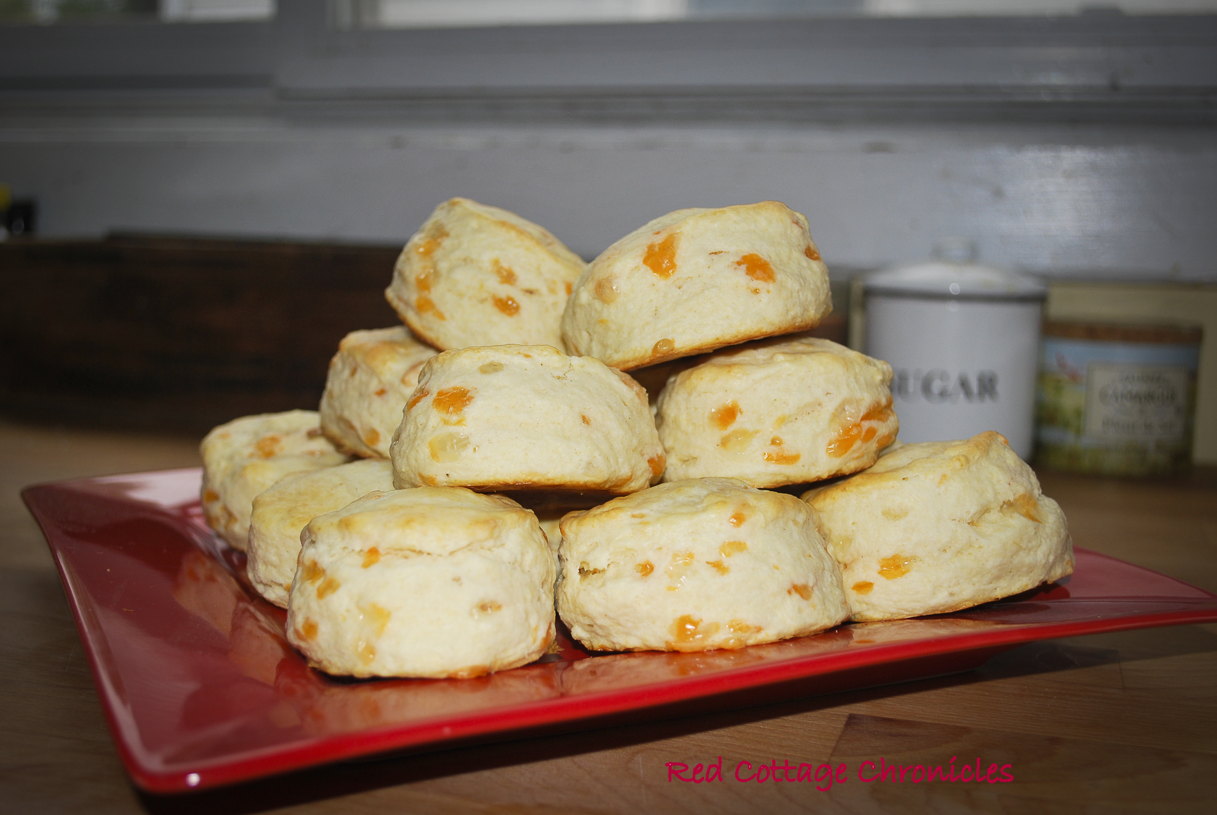 Cheddar Cheese Tea Biscuits - redcottagechronicles.com