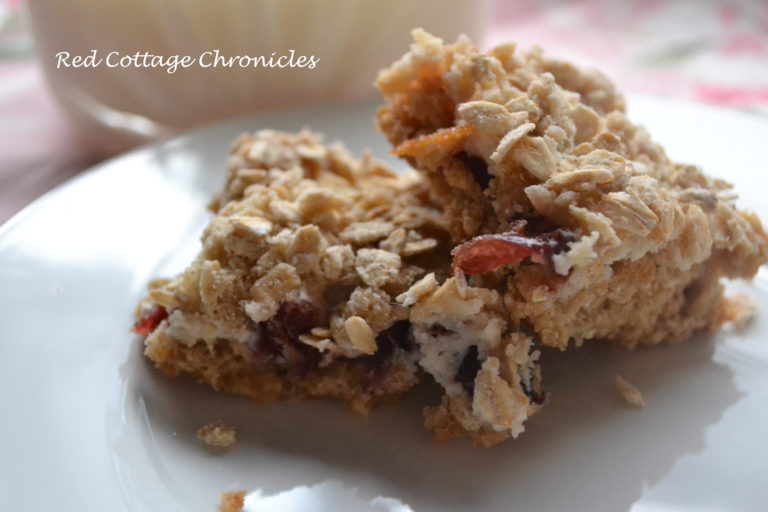 Two cranberry oatmeal bars on a white plate.