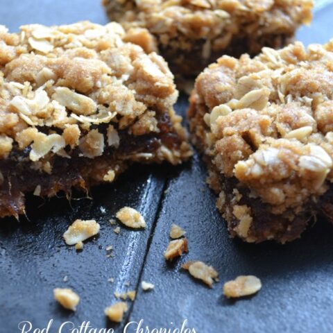 Old Fashioned Date Squares