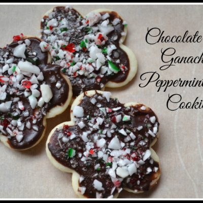 Chocolate frosted cookie with crushed peppermint candy canes on top.