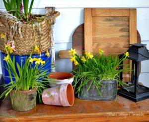 Easy DIY spring planter for under $10