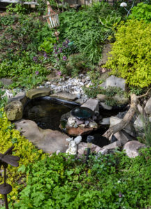 rustic garden ponds