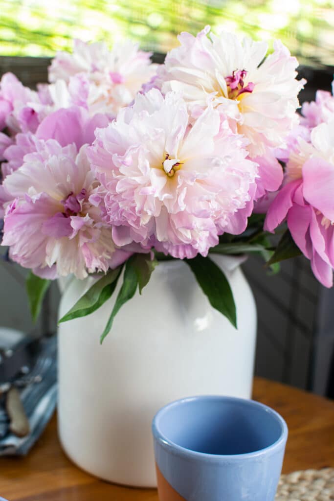 Fresh Peonies in a white tin pitcher are the perfect example of thrifted home decor.