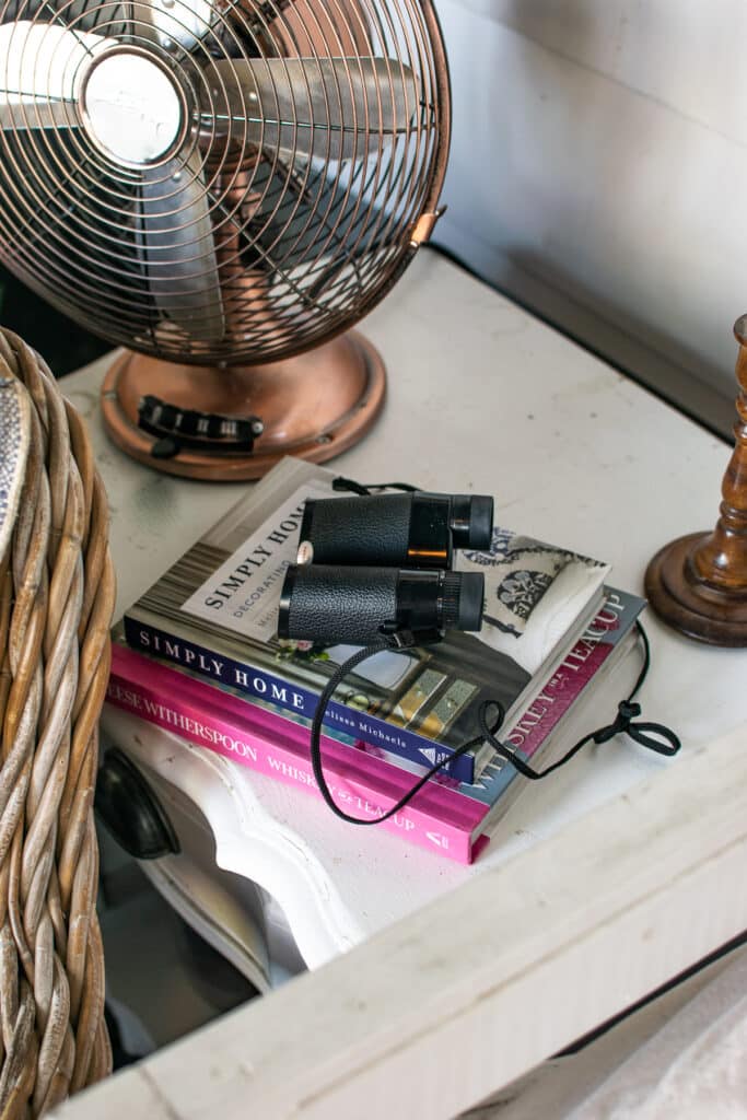 A side table holds a fan, a stack of books and binoculars for bird watching.